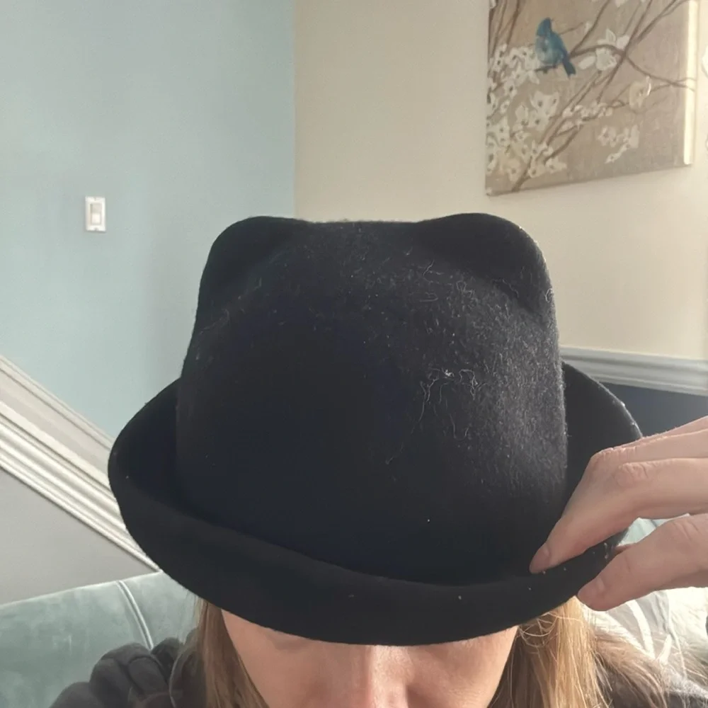 Cat Ears Fedora